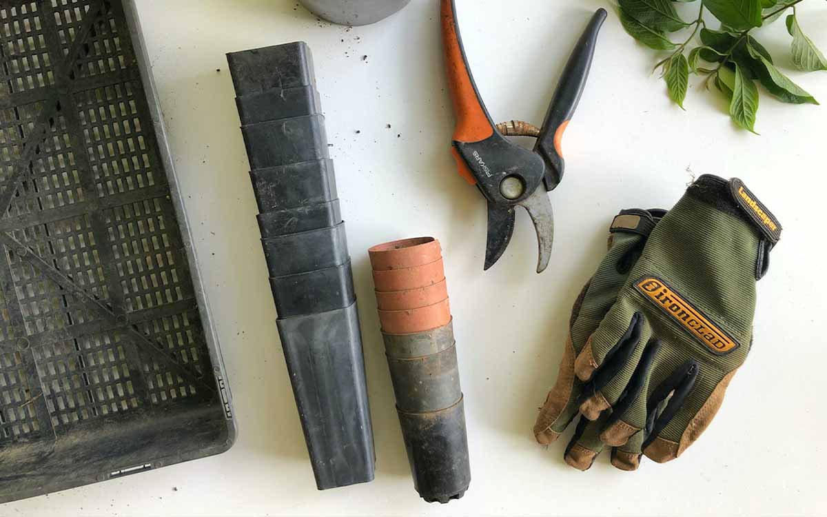 園芸道具イメージ