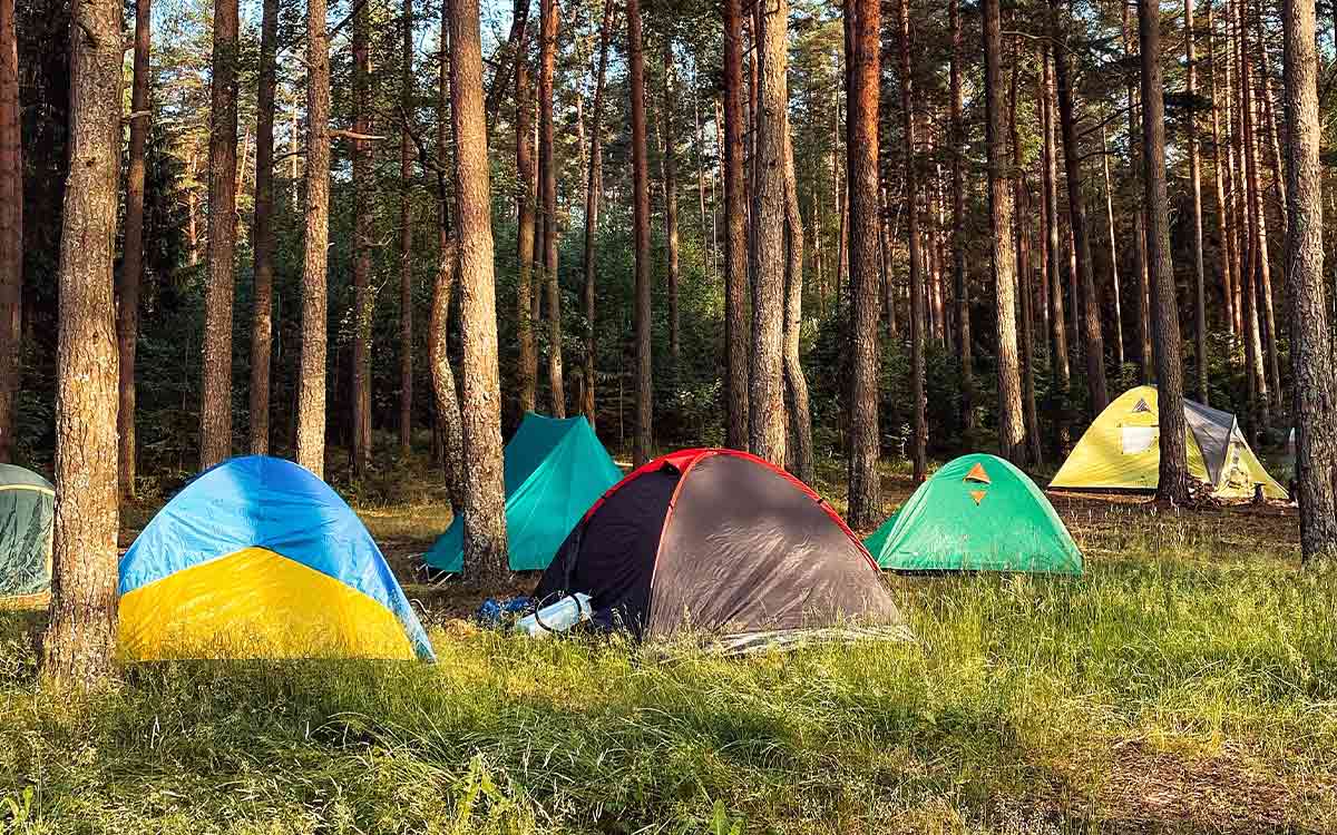 ソロキャンパー必見！次世代外遊びは自宅の庭で出来る「自分だけの小屋作り」